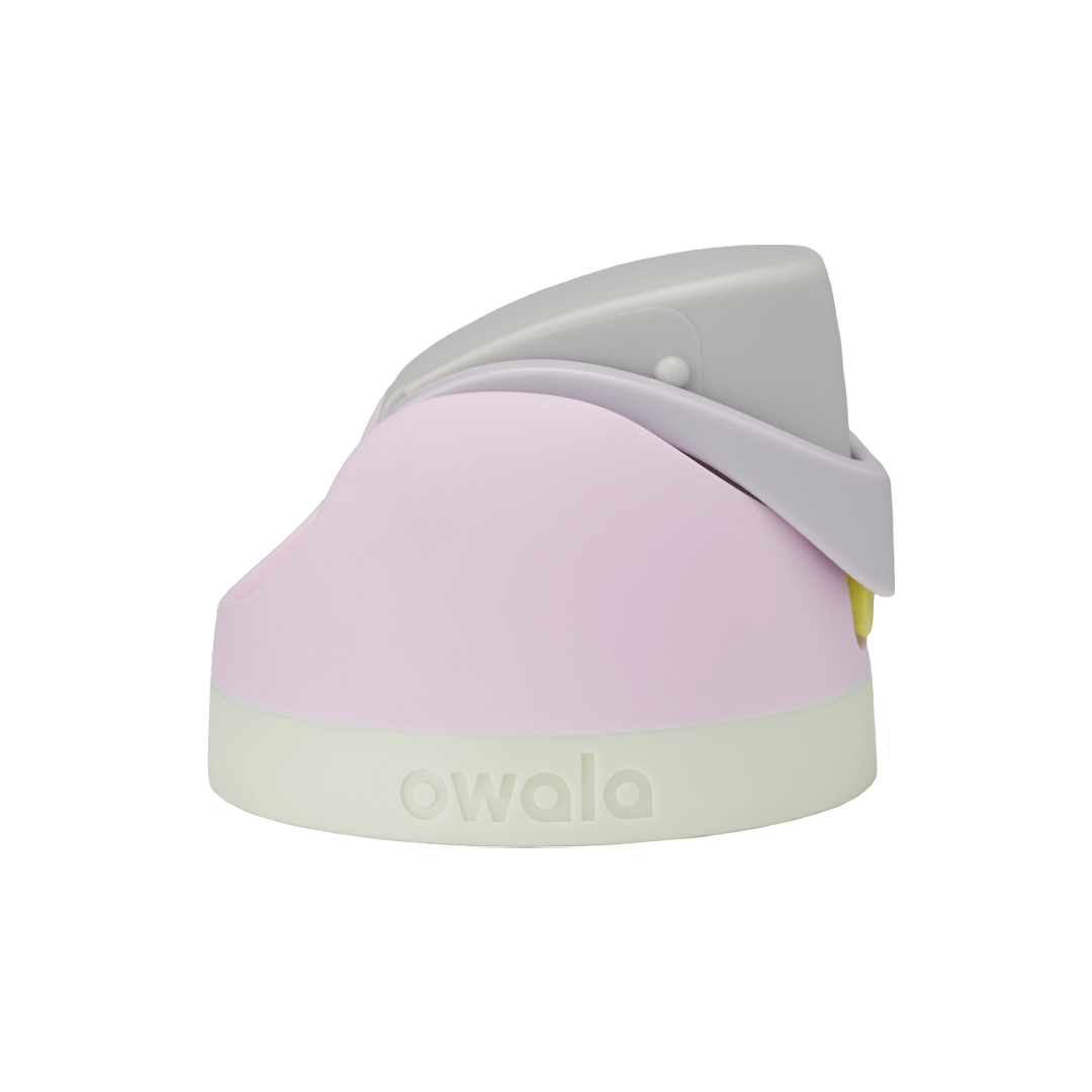 Replacement Lids P3