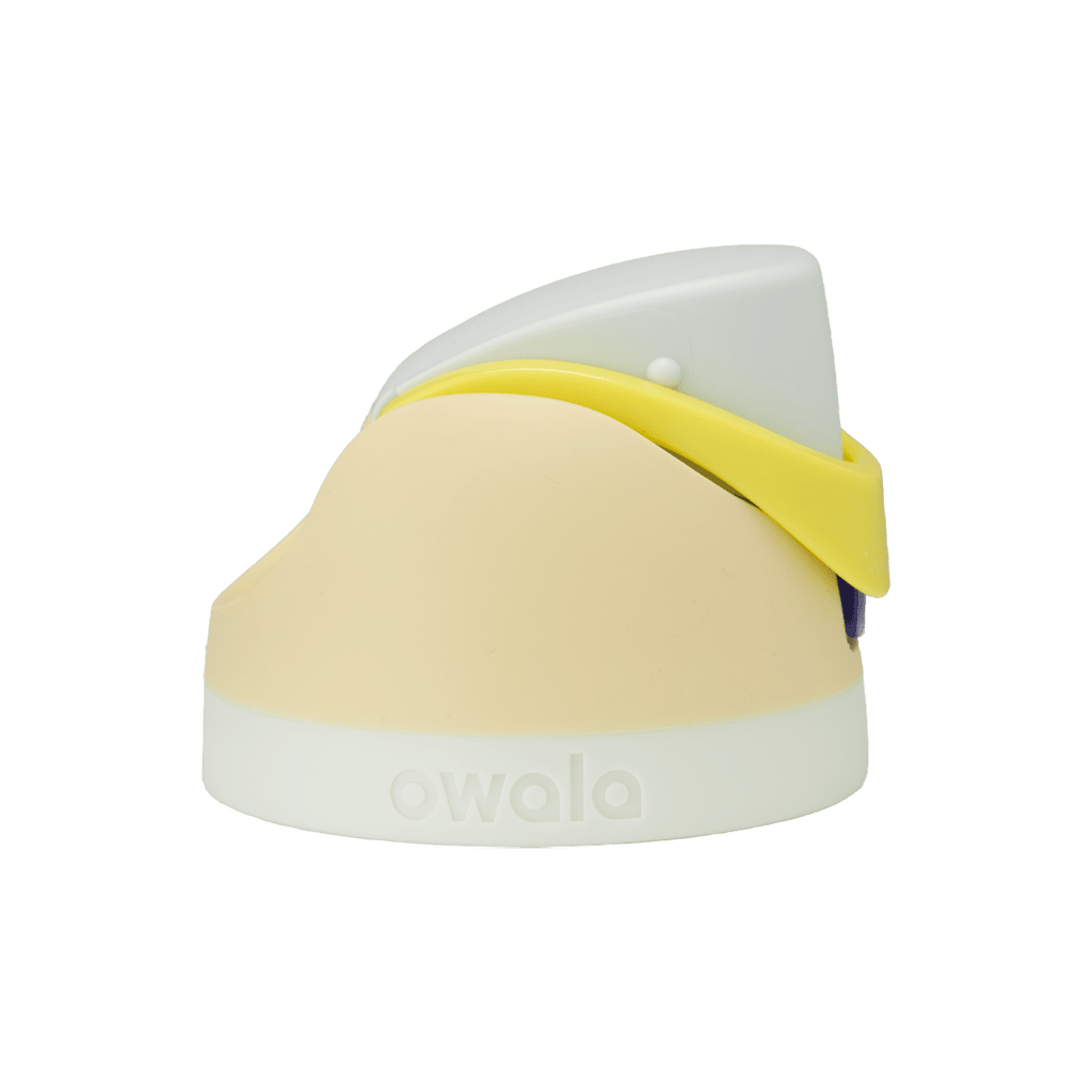 Replacement Lids P3