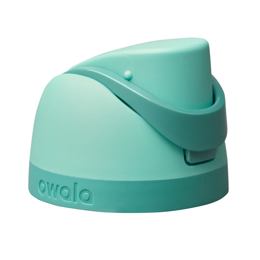 Replacement Lids P3