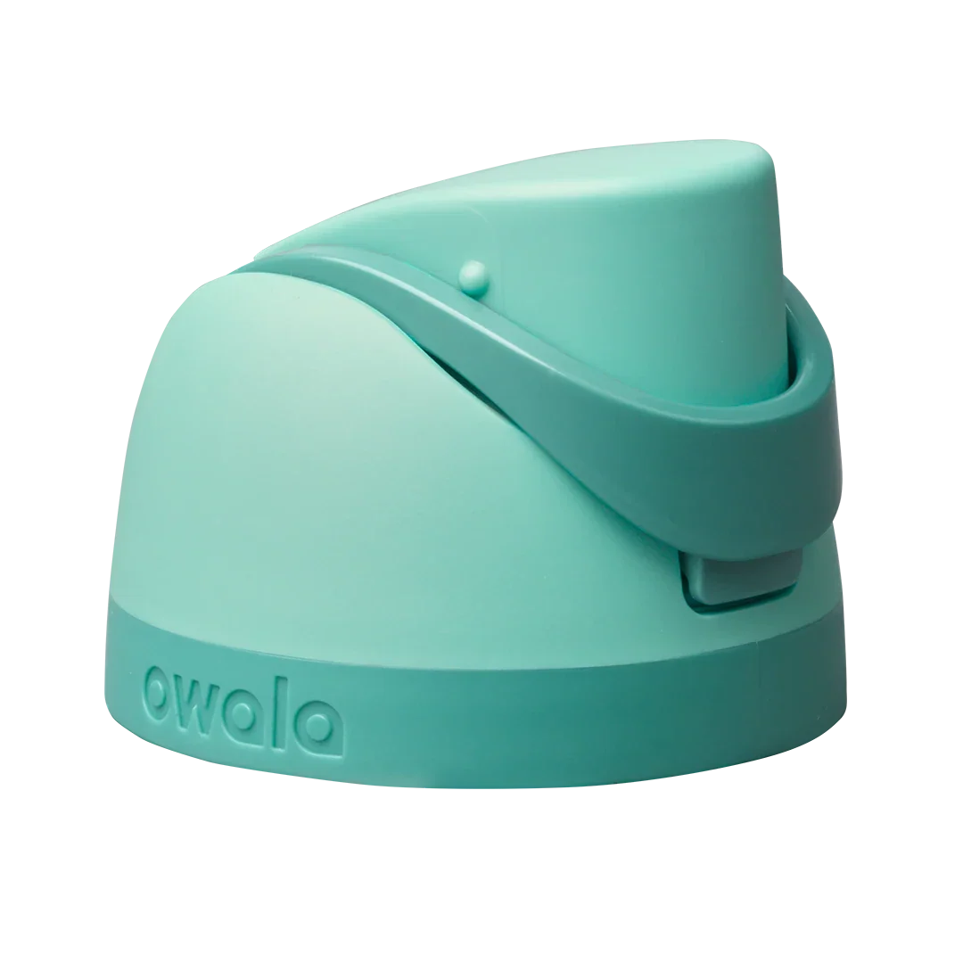 Replacement Lids P3