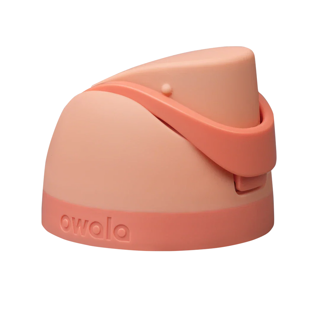 Replacement Lids P3