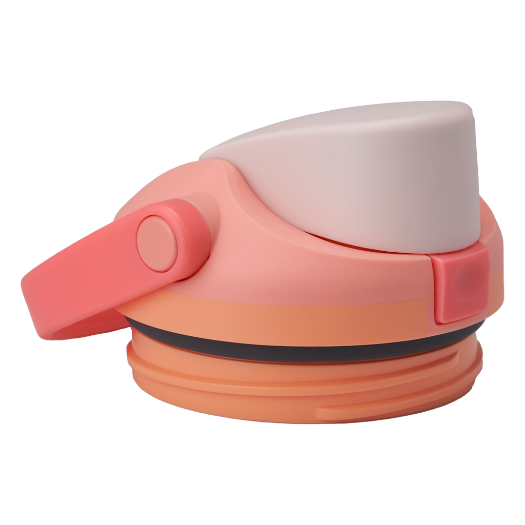 Replacement Lids P3
