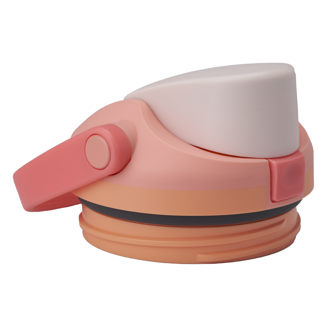 Replacement Lids P3