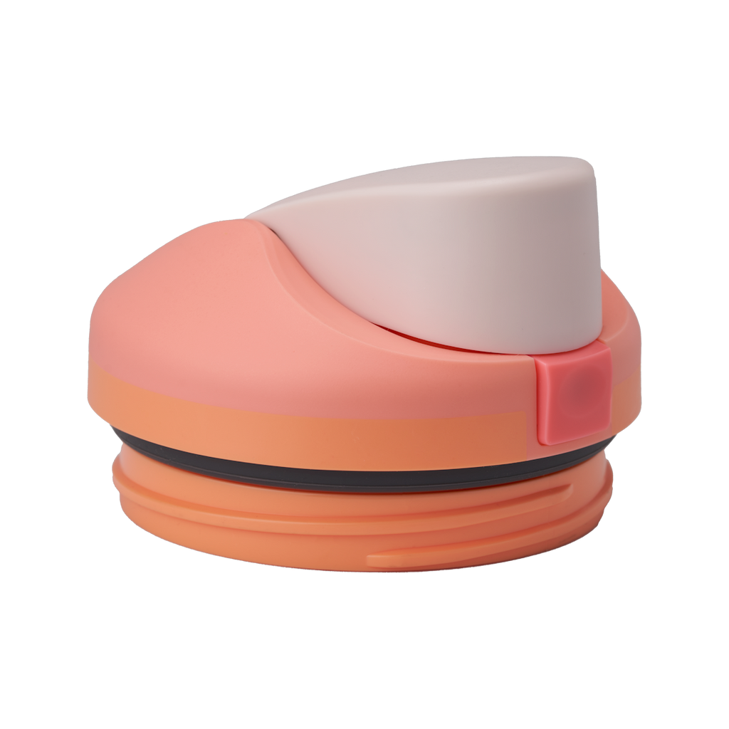 Replacement Lids P3